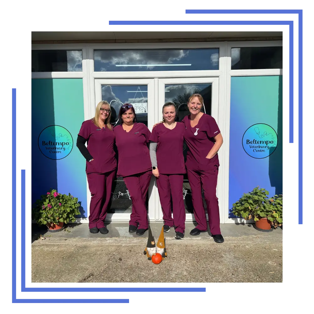 Beltempo Veterinary Centre Our Team