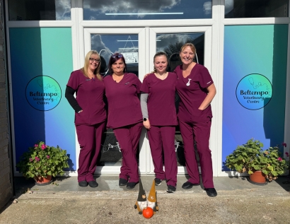 Beltempo Veterinary Centre Our Team Beltempo Veterinary Centre Our Team